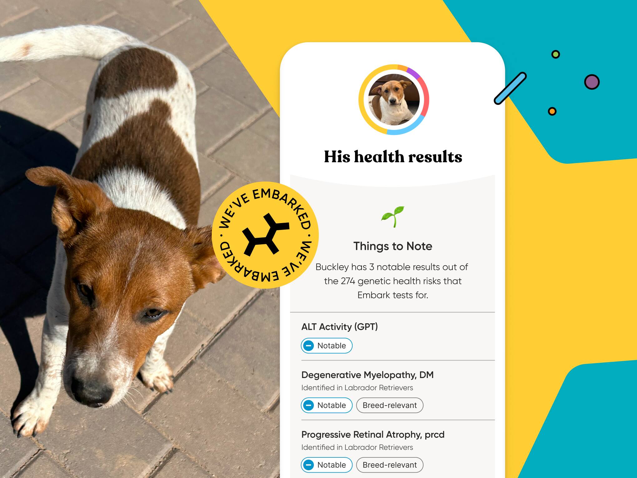 Seeing Past the Wobble: How DNA Helped Buckley Find a Home