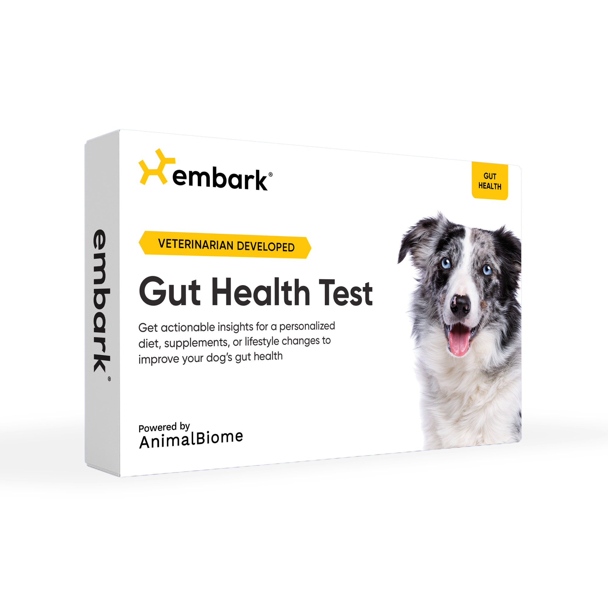 Embark Gut Health Test